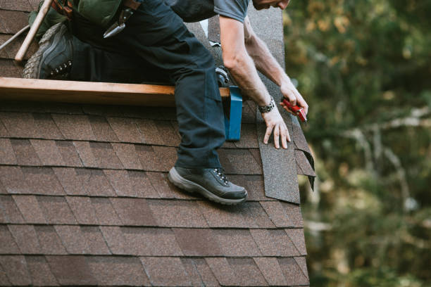 Roof Gutter Cleaning in Dellwood, MN